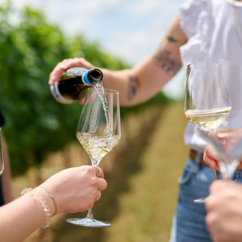 Hier geht es zum WeinGut und Weinshop