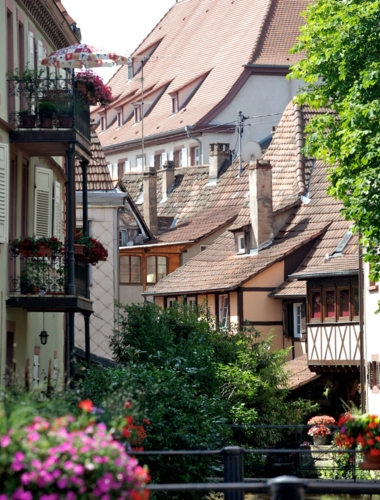 Deutsch-Französische Freundschaft. Elsass und Pfalz liegen dicht beieinander.
