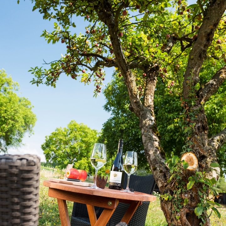 Außenbereich der Ferienwohnungen