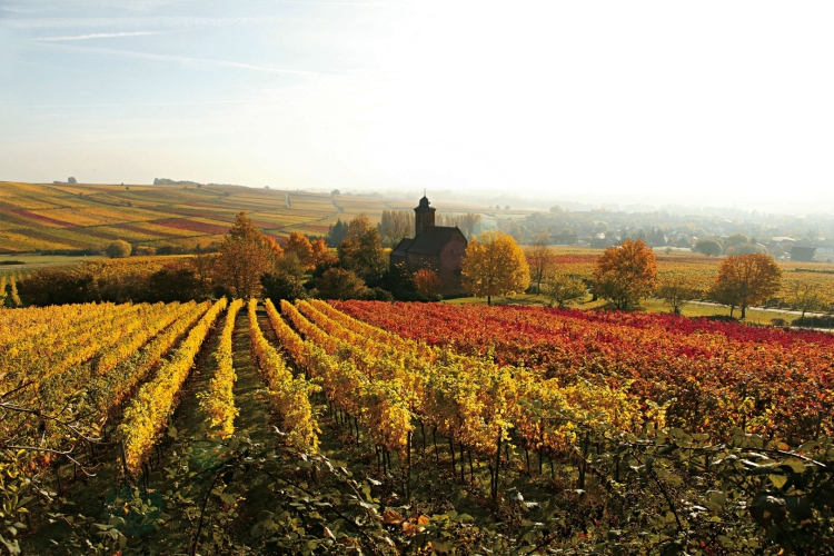 Herbst an der Südlichen Weinstrasse. Nikolauskapelle bei Klingenmünster.