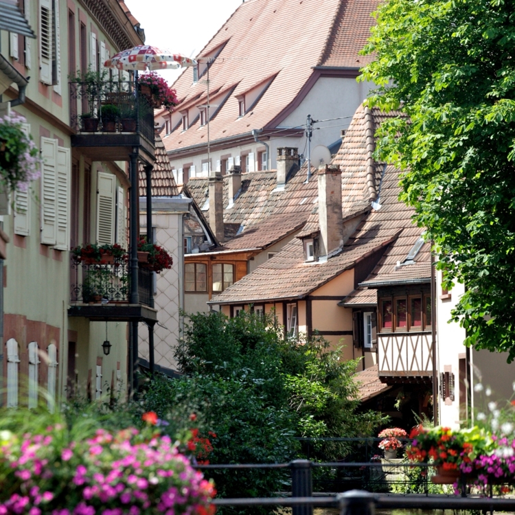 Deutsch-Französische Freundschaft. Elsass und Pfalz liegen dicht beieinander.