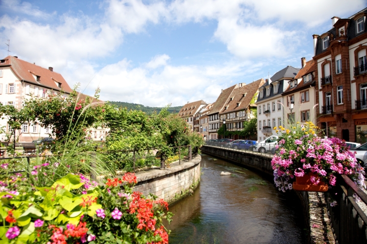 Die französische Grenze ist nicht weit. Das Elsass gernzt direkt an die Pfalz.